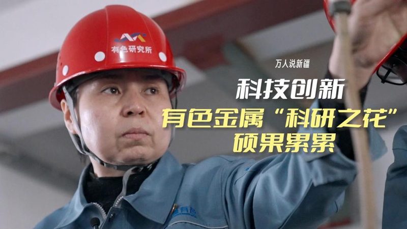 数据可视化与数据分析：解析两者之间的本质差异